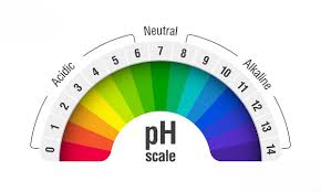 Độ pH Nước Là Gì? Nước Sạch Cần pH Bao Nhiêu?