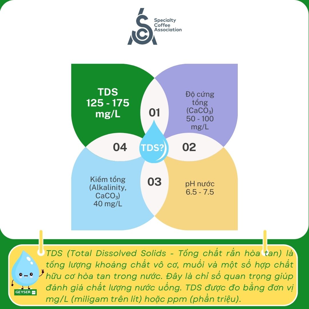 Ti&ecirc;u chuẩn chỉ số TDS nước tốt pha c&agrave; ph&ecirc; của hiệp hội cafe Mỹ